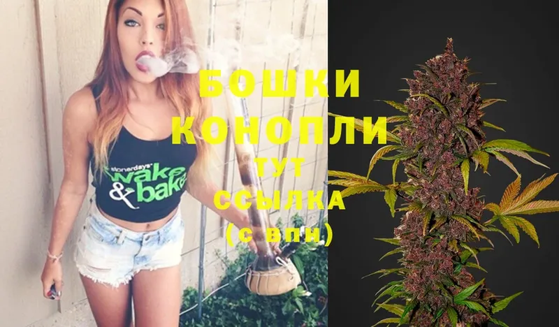 KRAKEN tor  Щёкино  Бошки марихуана THC 21% 